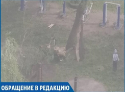 «Сильный ветер снёс дерево на детской площадке, а коммунальщикам до этого нет дела», - житель Ставрополя