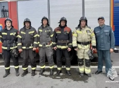 Вывели сквозь дым: девушка и кот чудом выжили при пожаре в Ставрополе 