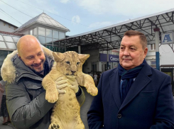 Экс-депутат, хозяин зоопарка и бизнесмен: известны новые владельцы Центрального рынка в Кисловодске