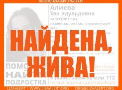 Пропавшую 14-летнюю девочку объявили в розыск на Ставрополье