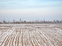 На Ставрополье глава сельсовета сдала в аренду чужой участок земли казакам