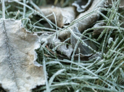 Заморозки до -1 ожидаются на Ставрополье