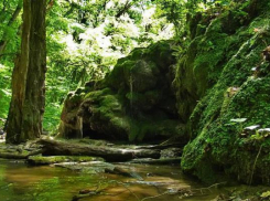 МУП «Водоканал» Ставрополя планирует снизить тарифы на воду