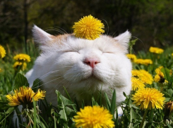 Солнечная безветренная погода ждет жителей Ставрополя в начале новой недели