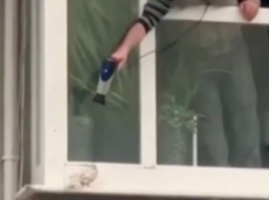 Житель Ставрополя отогрел замерзшего голубя феном