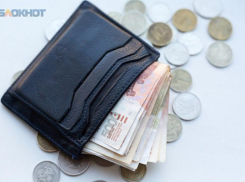 Годовая инфляция на Ставрополье подскочила до 6,1% в январе: что подорожало 