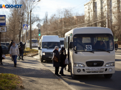 Специальный комитет по организации обслуживания городских автобусов планируют создать в Ставрополе