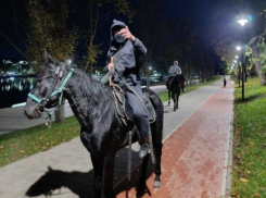 За избиение пенсионеров плеткой всадник из Кисловодска получил срок