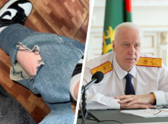 Бастрыкин потребовал отчет по делу о нападении собак на женщину в Пятигорске 