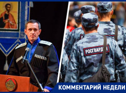 «Мы настроены положительно»: в казачестве прокомментировали идею сотрудничества с Росгвардией