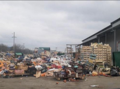 Свалку около рынка «Лира» в Ставропольском крае обязали убрать 