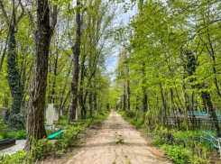 Принудительные работы на кладбище заставили ставропольца выплатить почти миллион рублей алиментов
