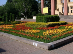 Настоящая летняя погода воцарится на Ставрополье в пятницу