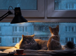 В четверг в Ставрополе будет прохладно и пасмурно