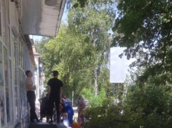 Женщину придавило деревом в Минеральных Водах — фото 