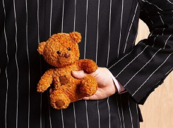 Вспомнивший детство мужчина украл из магазина 17 плюшевых игрушек в Кисловодске