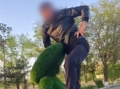 Секс с топиарной фигурой на Ставрополье вышел боком для двух молодых парней 