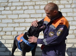 Спасатель-кинолог из Ставрополя признан лучшим на всероссийском фестивале 