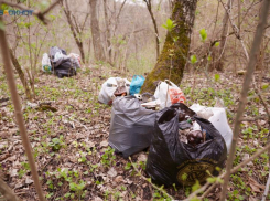 Тарифы за вывоз ТКО дважды повысят на Ставрополье в 2026-м году