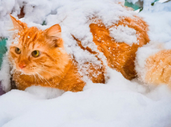 Снег и мороз ожидаются в Ставрополе в субботу