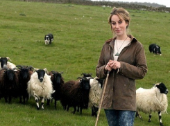 После четырехдневных поисков утечки воды работниками водоканала порыв обнаружила пасшая овец жительница станицы на Ставрополье