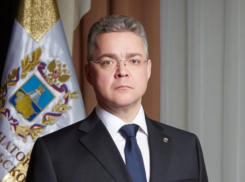 Губернатор Ставрополья Владимир Владимиров отправил правительство края в отставку