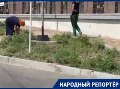 Не дождалась помощи от чиновников: жительница Ставрополя выдергивает амброзию голыми руками