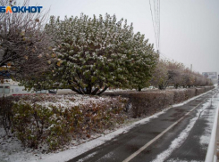 Снег с дождем и туман пообещали ставропольцам в преддверии 8 марта 
