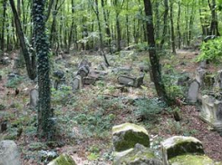 Хозяина сельского кладбища ищут на Ставрополье