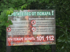 На Ставрополье призывают соблюдать меры пожарной безопасности
