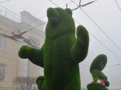 Зеленого медведя привезли в центр Ставрополя