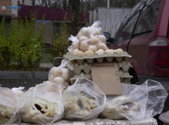 Ставрополье теряет скот и птицу, но неожиданно наращивает яйца