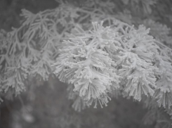 Какая погода в Ставрополе: снег с дождем и по ощущениям до –8 градусов 8 декабря