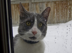 Мокрый снег и холод ждут Ставрополь во вторник 
