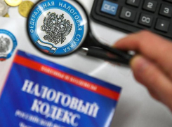 На Ставрополье с 1 июля введут специальный налоговый режим