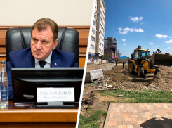 Противников парковки на улице Серова в Ставрополе решили «задобрить» деревьями