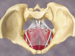 Четыре сложные операции по восстановлению тазового дна впервые провели в Ставрополе