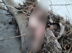 В Адыгее спасатели нашли тело туриста, ради которого в Хаджохской теснине рискнул жизнью ставрополец