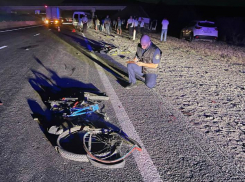 Тренера спортшколы, в которой занимались погибшие в ДТП на Ставрополье велосипеисты, задержали