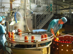 16 миллиардов рублей вложат в переработку сельхозпродукции на Ставрополье 