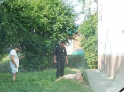 В Пятигорске по рельсам бегал голый мужчина