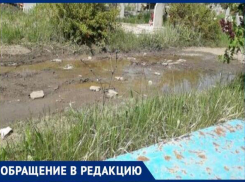 «За 15 лет ни разу не засыпали ямы»,  - ставропольчанка о Новом кладбище