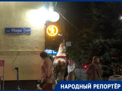 «Шейх» с верблюдом на юге Ставрополя возмутили горожан