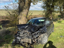 Младенец пострадал в аварии в Петровском округе