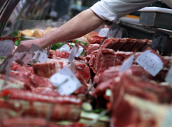 Житель Невинномысска продавал мясо, зараженное бруцеллезом