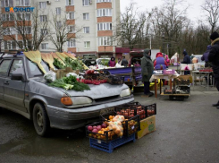Возглавила рейтинг: торговля обеспечила работой 303 тысячи жителей Ставрополья в 2024 году