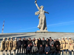 Ставропольских медиков наградили за спасение волгоградских детей в ДТП 