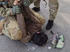 Обвиняемый в подготовке взрыва в Ессентуках террорист арестован