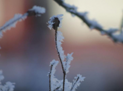 Мороз до -2 и солнце пообещали ставропольцам в последнюю субботу сентября