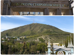 Прокуратура Ставрополья обнаружила в проекте по строительству «Машука» незаконную вырубку деревьев